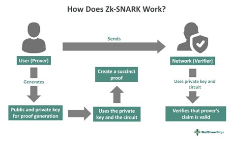 snark vs stark|zk.